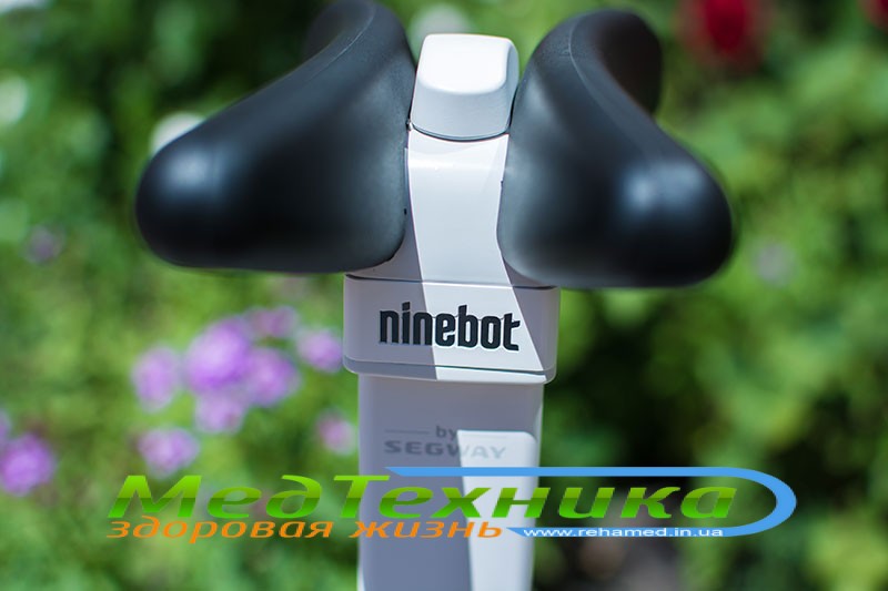  - Ninebot Mini Pro