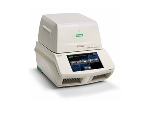  CFX96 Touch (  (PCR) )