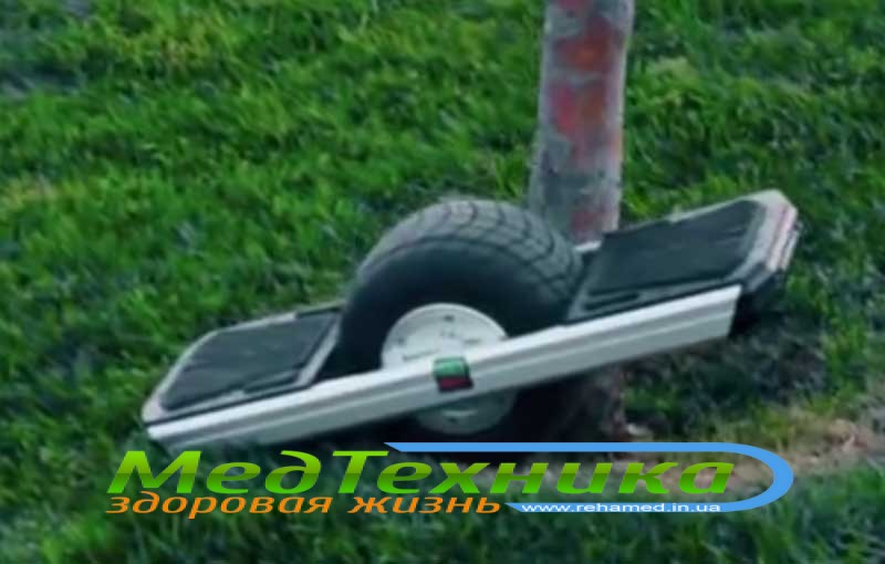  Hoverboard Trotter