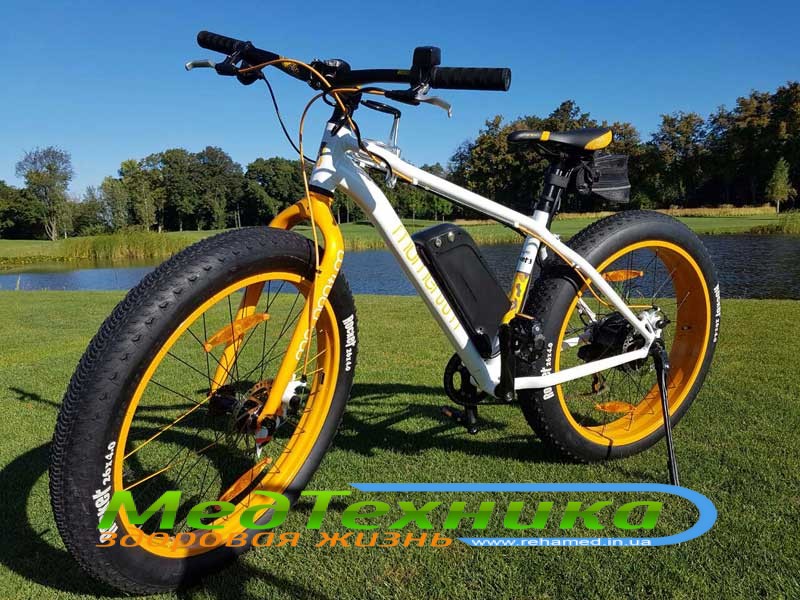 giant momentum fat bike