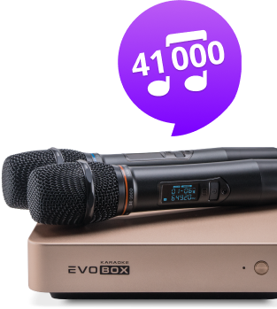 Караоке-комплект EVOBOX Plus с микрофонами