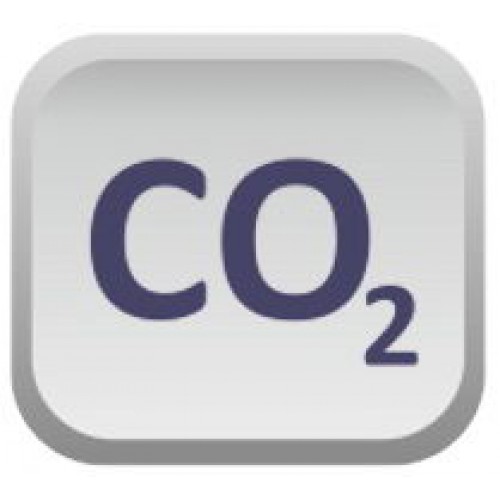     CO 2