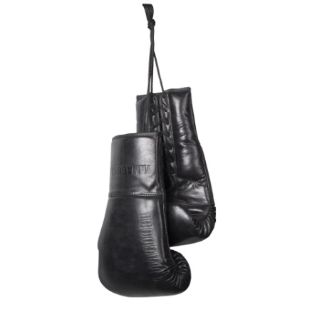   Boxing Gloves