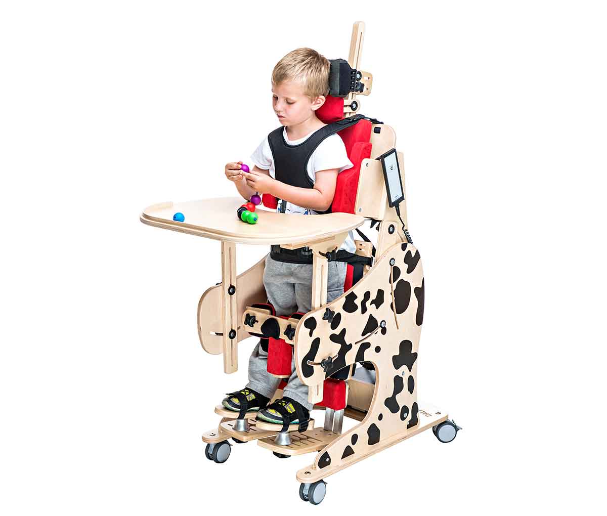  DALMATIAN INVENTO